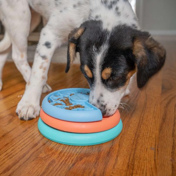 Nina Ottosson Puppy Lickin' Layers